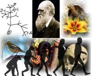 Puzzle Δαρβίνος μέρα, ο Κάρολος Δαρβίνος γεννήθηκε στις 12 Φεβρουαρίου, 1809. Ο Δαρβίνος δέντρο, το πρώτο πρόγραμμα της θεωρίας της εξέλιξης του